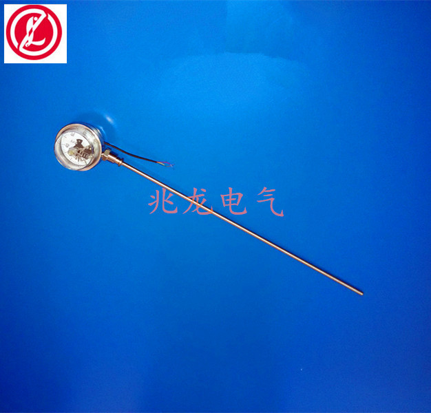 WSSX-313隔爆式雙金屬溫度計